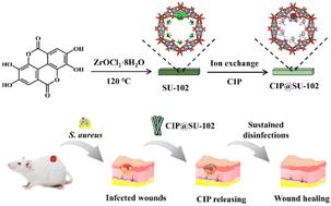 A Zr-based metal–organic framework drug release system with long-lasting antibacterial behavior for accelerating wound healing†
