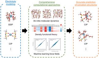 Computational prediction of solvation structures in calcium battery electrolytes†