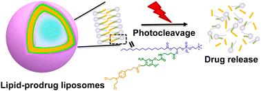 Photoresponsive prodrug-based liposomes for controllable release of the anticancer drug chlorambucil†