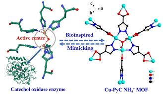 A Cu-based metal–organic framework synthesized via a green method exhibits unique catecholase-like activity for epigallocatechin gallate detection in teas†
