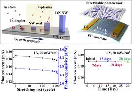 Stretchable photosensors with InN nanowires operating at a wavelength of 1.3 μm