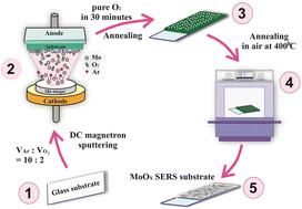 Nanorod structure tuning and defect engineering of MoOx for high-performance SERS substrates†