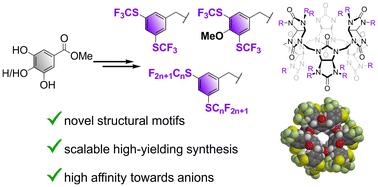 Synthesis of bambusurils with perfluoroalkylthiobenzyl groups as highly potent halide receptors†