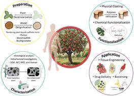 Hijacking plant skeletons for biomedical applications: from regenerative medicine and drug delivery to biosensing