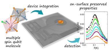 Asymmetric [Dy2] molecules deposited into micro-SQUID susceptometers: in situ characterization of their magnetic integrity†