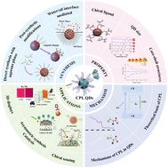 From synthesis to chiroptical activities: advancements in circularly polarized luminescent inorganic quantum dots
