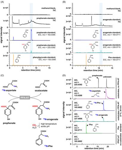 A simplified liquid chromatography-mass spectrometry methodology to probe the shikimate and aromatic amino acid biosynthetic pathways in plants