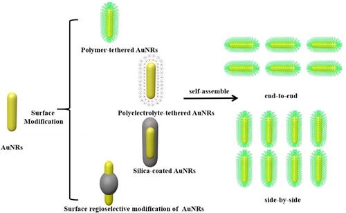 Surface Modification of Gold Nanorods: Multifunctional Strategies and Application Prospects