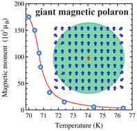 Magnetic polarons reach a hundred thousand Bohr magnetons†