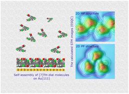 Calculated and structural analyses of self-assembly formed by [7]thiaheterohelicene-2,13-carboxaldehyde molecules on Au(111)†