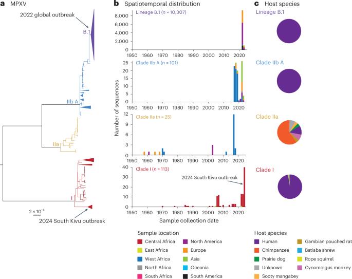 Global genomic surveillance of monkeypox virus