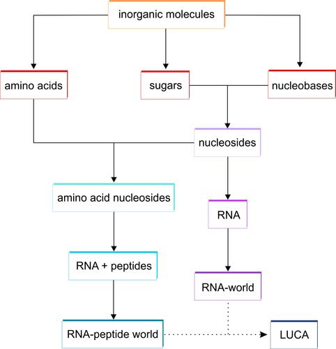 Step-by-Step Towards Biological Homochirality – from Prebiotic Randomness To Perfect Asymmetry