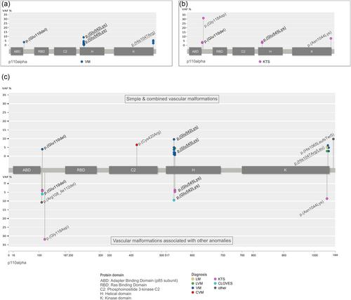 Non-Hotspot PIK3CA Variants Have Higher Variant Allele Frequency and are More Common in Syndromic Vascular Malformations