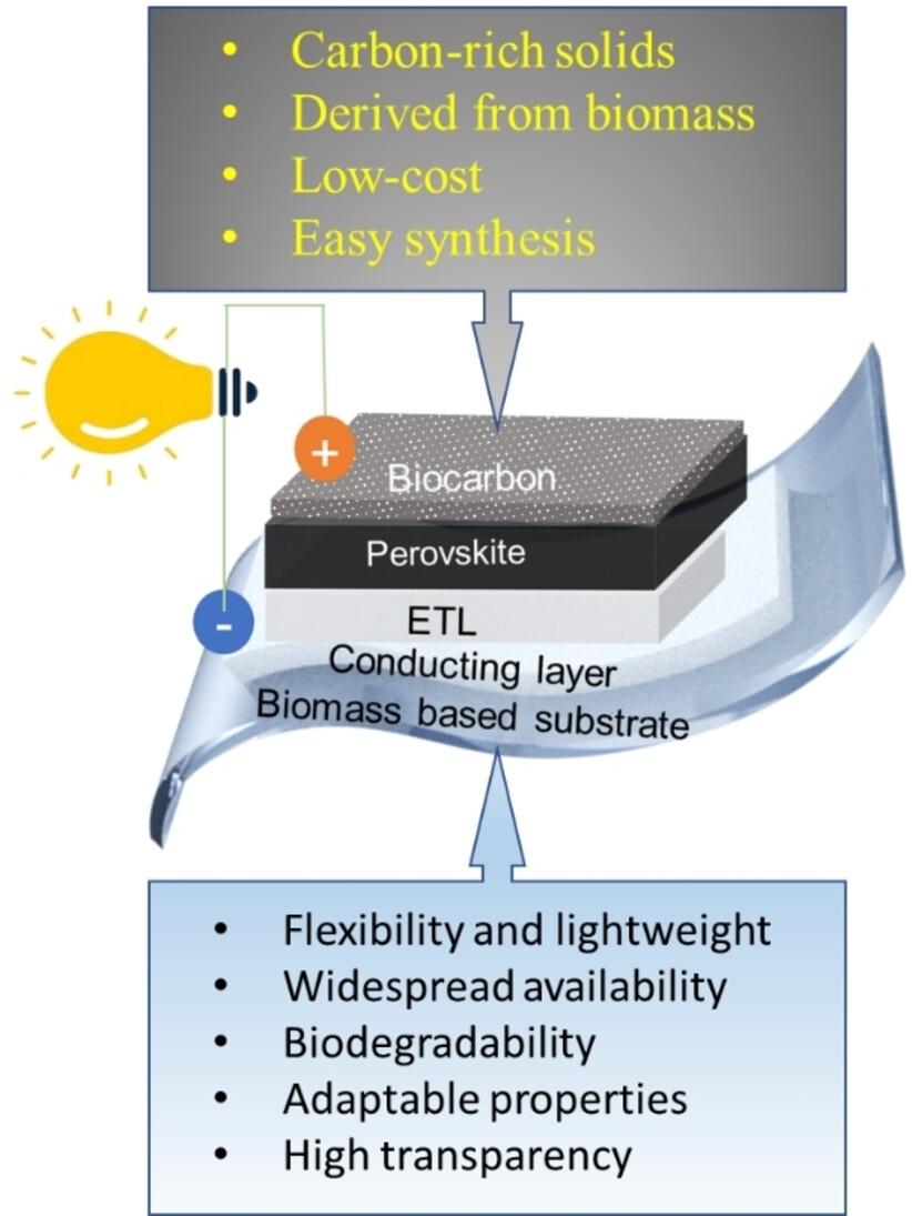 Biomass-Derived Materials in Perovskite Solar Cells: Recent Progress and Future Prospects