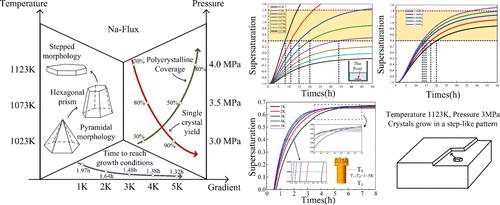 The Role of Growth Conditions in Modulating Nitrogen Diffusion During Gallium Nitride Crystal Growth by Sodium Flux Method