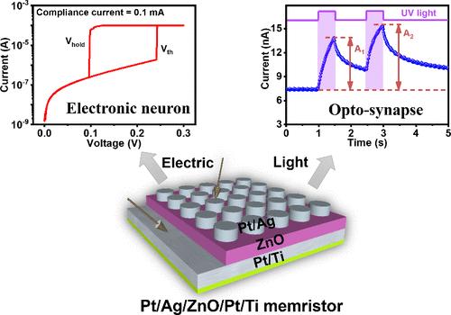 In-Sensor Noise Reduction and Reservoir Computing System Using ZnO Optoelectronic Memristors for Artificial Vision Applications