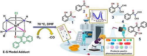 Nickel(II) Complexes of Sterically Hindered 3N Donor Ligands as Models for Quercetin-2,4-Dioxygenase: Impact of Terminal Amine Substituent on Dioxygenolysis Reactivity