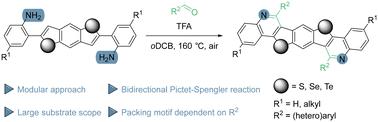 Benzobischalcogeno[3,2-c]quinolines: tuning electronic and structural properties with group 16 elements†