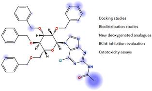 Purine nucleosides as selective inhibitors of butyrylcholinesterase – a multidisciplinary study†