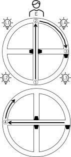 Turn repetition in pill bugs