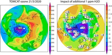Ongoing large ozone depletion in the polar lower stratospheres: the role of increased water vapour