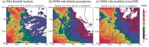 Impacts of observation-based cloud droplet size distributions on the simulation of warm stratiform precipitation using a double-moment microphysics scheme