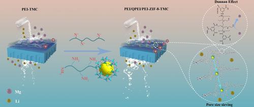 Polyethyleneimine-Templated ZIF-8 Nanoparticles Impart the Nanofiltration Membrane with High Mg2+/Li+ Separation Performance