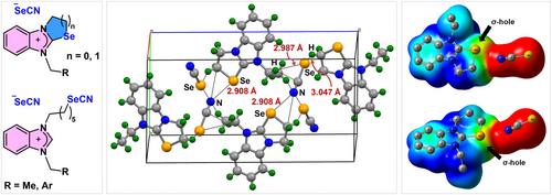 Structurally Innovative Benzimidazole-fused Ionic Organoselenium Compounds: Prevalence of Se⋅⋅⋅N/Se Chalcogen Bonds with the Selenocyanate Receptor