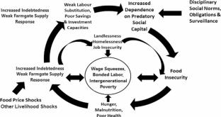 Farm workers’ food security during food price hikes: a political economy of landless rice-wheat farm labourers in Pakistan’s Punjab