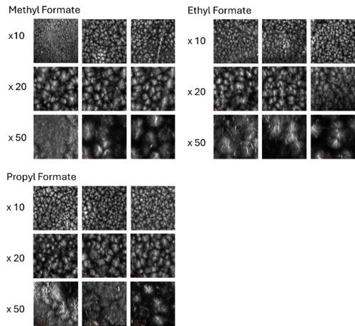 Designing and Controlling Transient Supramolecular Gels