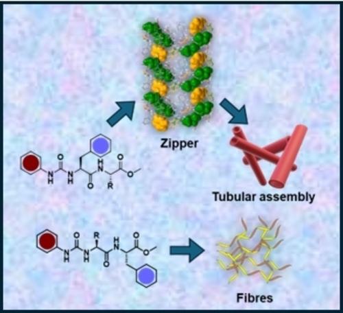 Designer Helical Fibers and Tubes: Self-assembling Hybrid Peptides via Leu/Ile-Phe Zipper