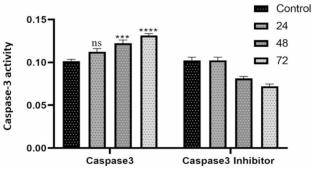 Molecular mechanisms of apoptosis induction in KG1a leukemia cells by the Ginkgo biloba extract (EGb)