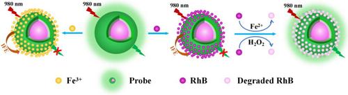 Core-Shell Upconversion Nanoparticle@Metal–Organic Framework Fluorescent Nanoprobes for the Detection of Ferric Ions and Ferrous Ions