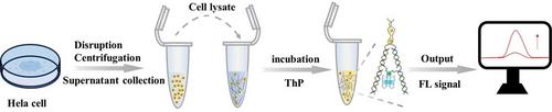 Engineering Logic-Gated i-Motif/G-Quadruplex (iG4) Hybrid Structures for DNA Nanotweezer-Based Aptasensing