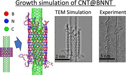 Molecular Dynamics of Catalyst-Free Edge Elongation of Boron Nitride Nanotubes Coaxially Grown on Single-Walled Carbon Nanotubes.
