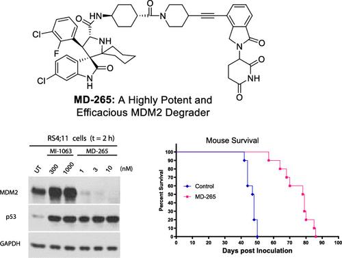 Discovery of MD-265: A Potent MDM2 Degrader That Achieves Complete Tumor Regression and Improves Long-Term Survival of Mice with Leukemia.