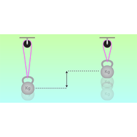 Experimental Investigation of Coherent Ergotropy in a Single Spin System