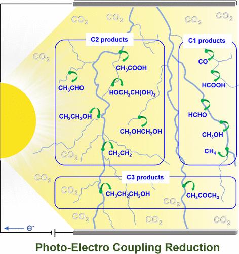 Fundamental Insights into Photoelectrochemical Carbon Dioxide Reduction: Elucidating the Reaction Pathways