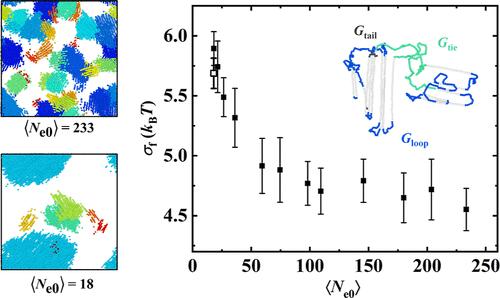 Role of Entanglement in Polymer Crystal Growth and Melting: Molecular Dynamics Simulations