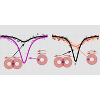 Observation of Space-Dependent Rotational Doppler Shifts with a Single Ion Probe