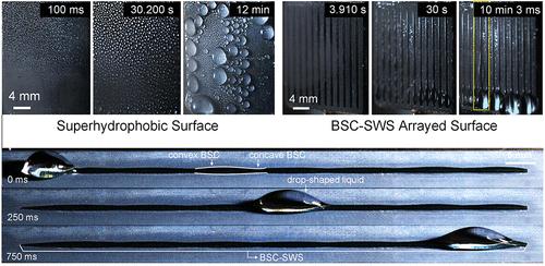 Boosting Droplet Transport for Fog Harvest.