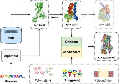 Generating Multistate Conformations of P-type ATPases with a Conditional Diffusion Model.