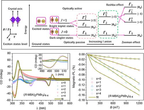 Halogen-Dependent Circular Dichroism and Magneto-Photoluminescence Effects in Chiral 2D Lead Halide Perovskites