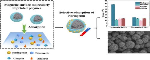 Nanomaterials Based on Magnetic Surface Molecularly Imprinted Polymers for Specific Recognition of Naringenin
