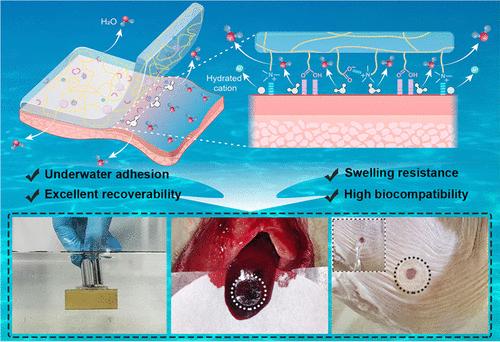 Poly(acrylic acid)-Derived Zwitterionic Hydrogel Unlocking Underwater Adhesion and Swelling Resistance for Applications as a Tissue Patch