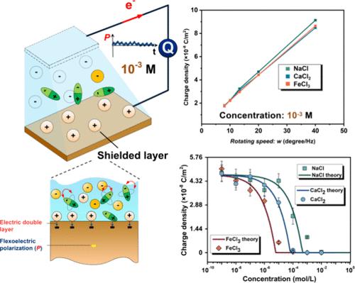 Ion Identification and Ultralow Concentration Sensing with Liquid Flexoelectricity.