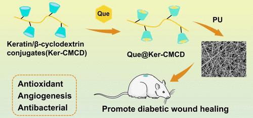 Quercetin@β-Cyclodextrin Conjugated Keratin/Polyurethane Biocomposite Mats for Infected Diabetic Wound Healing.