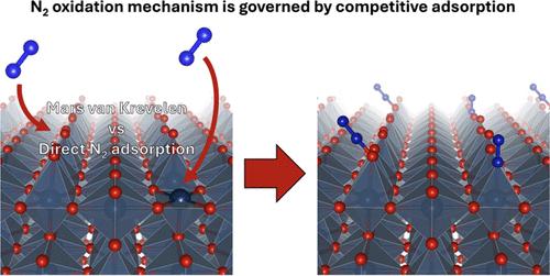 Understanding Activity Trends in Electrochemical Dinitrogen Oxidation over Transition Metal Oxides