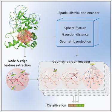 GeoNet enables the accurate prediction of protein-ligand binding sites through interpretable geometric deep learning