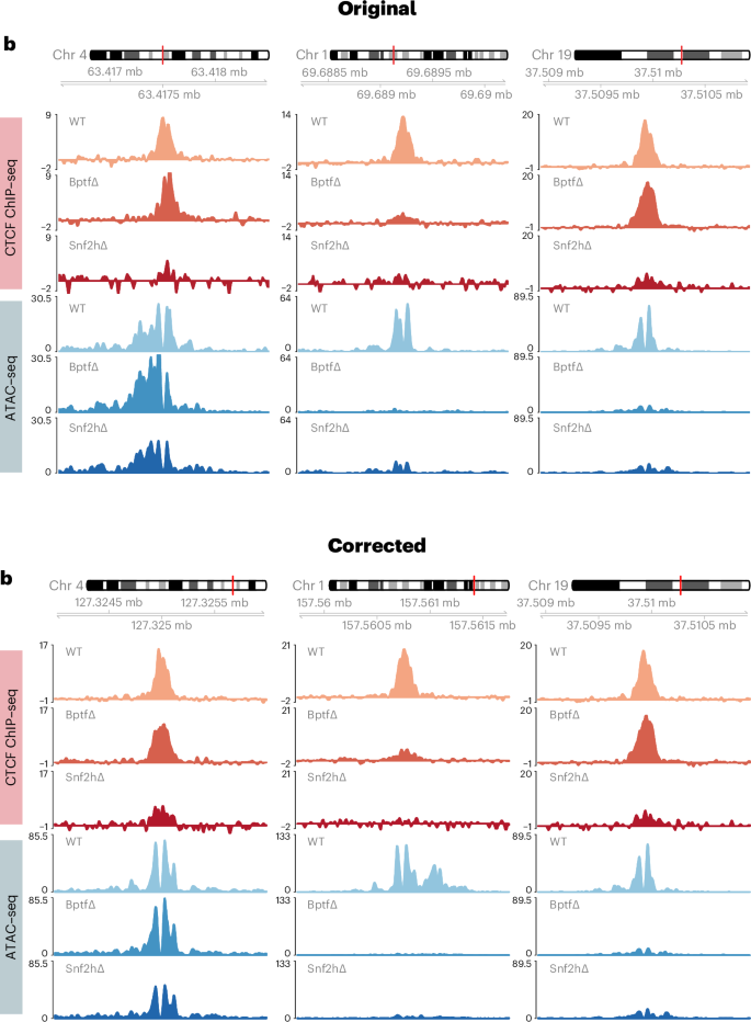 Author Correction: Systematic assessment of ISWI subunits shows that NURF creates local accessibility for CTCF